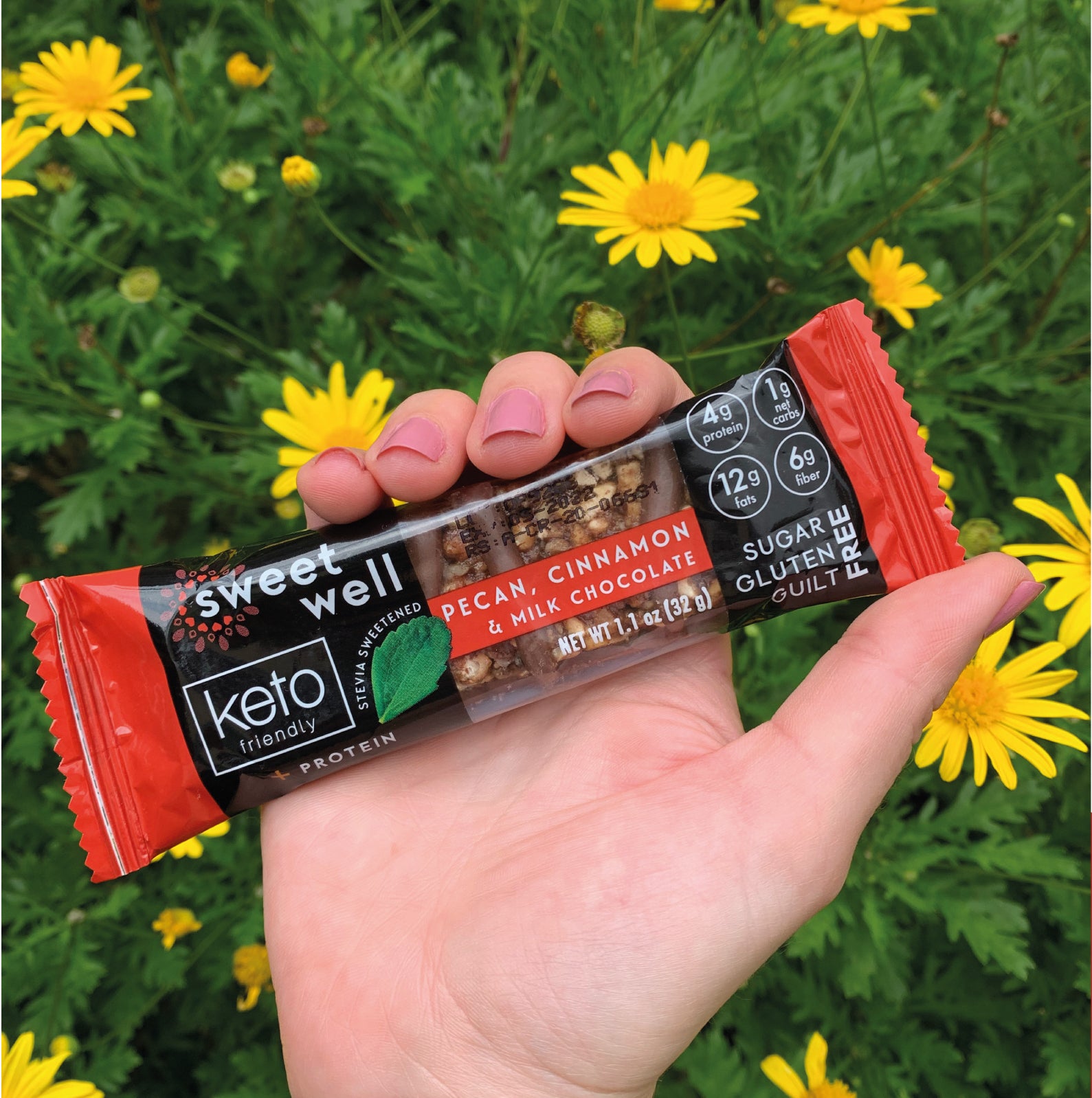 Keto Pecan, Cinnamon & Milk Chocolate Bar 10 Pack Sweetwell Store